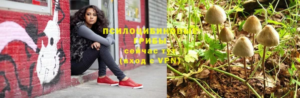 прущие крисы Алзамай