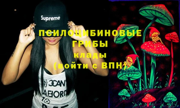 стафф Алексин