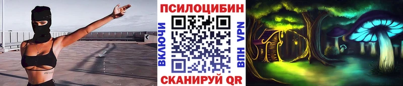 Псилоцибиновые грибы Cubensis  сколько стоит  Покров 